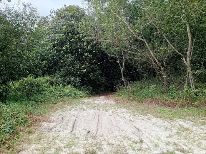 End Trail Pantai Pelindung Picture 5
