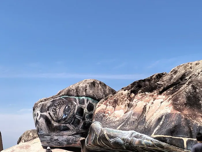 Sea turtle mural Picture 1