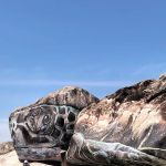 Sea turtle mural