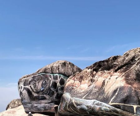 Sea turtle mural