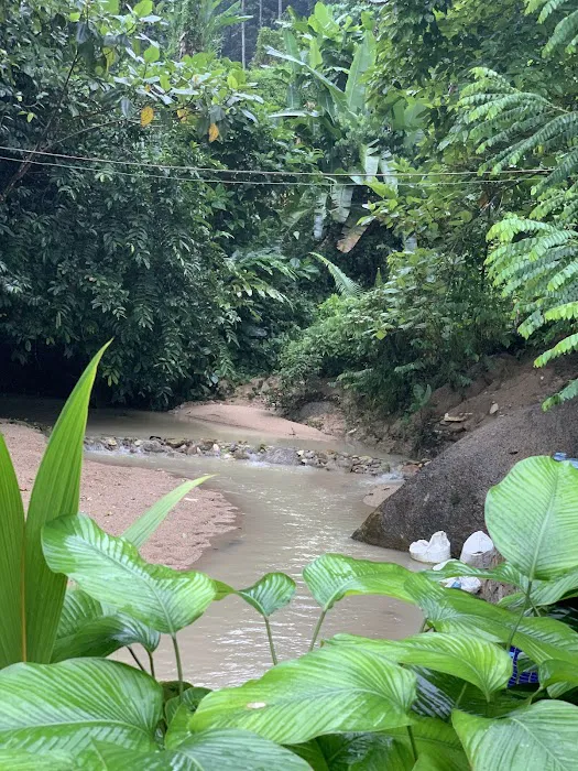 Kebun Cinta Kita Picture 8