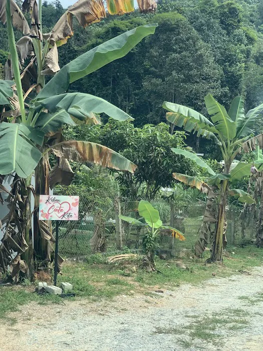 Kebun Cinta Kita Picture 7