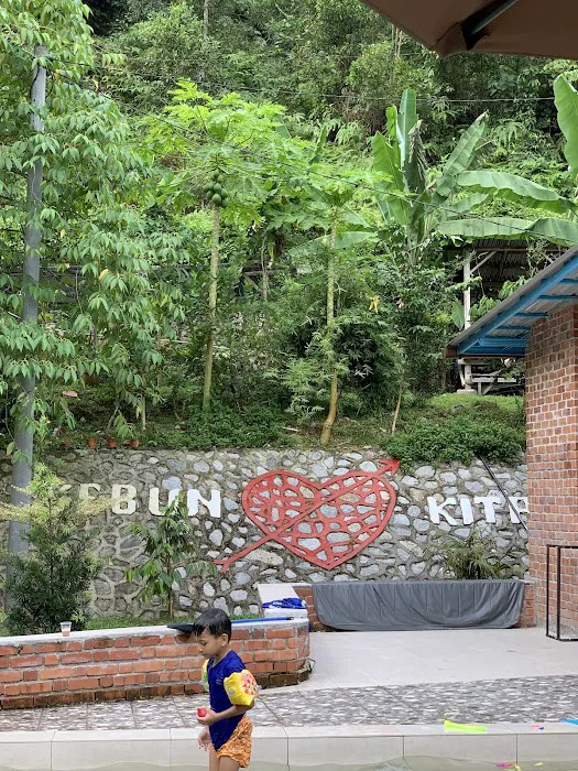 Kebun Cinta Kita Picture 9