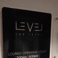 The Level ico