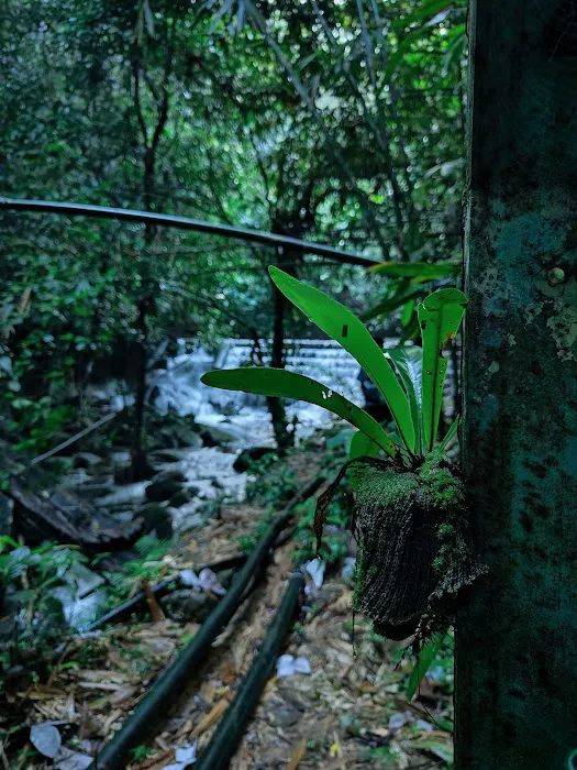 Sungai kincap reservoir Picture 1