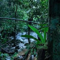 Sungai kincap reservoir ico
