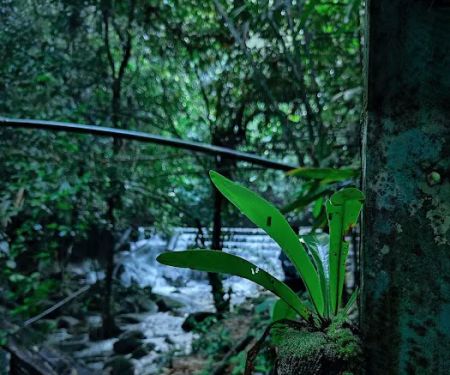 Sungai kincap reservoir