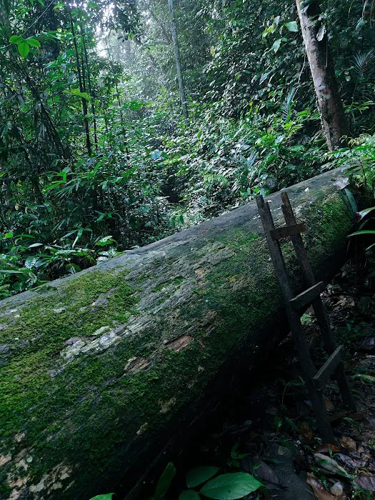 Sungai kincap reservoir Picture 2