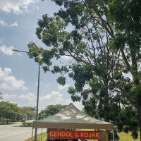 Rojak Cendol Melayu Putrajaya ico