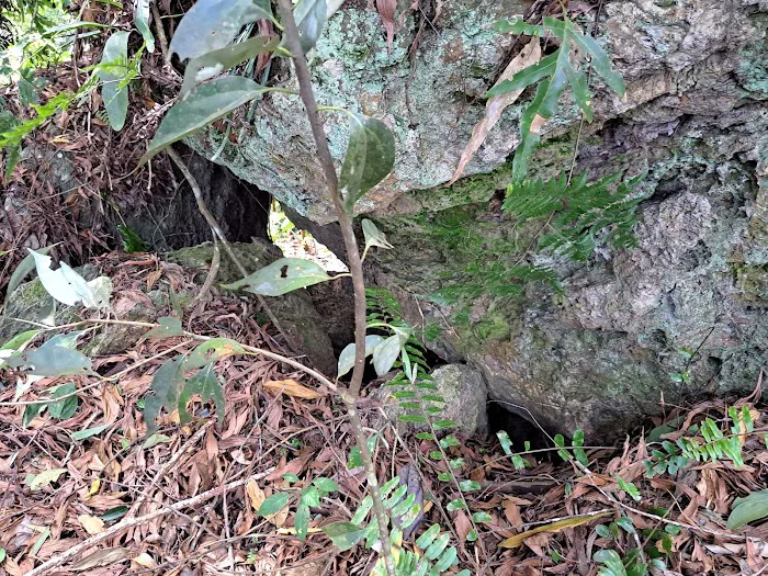 Starting Trail Bukit Tokki Picture 5