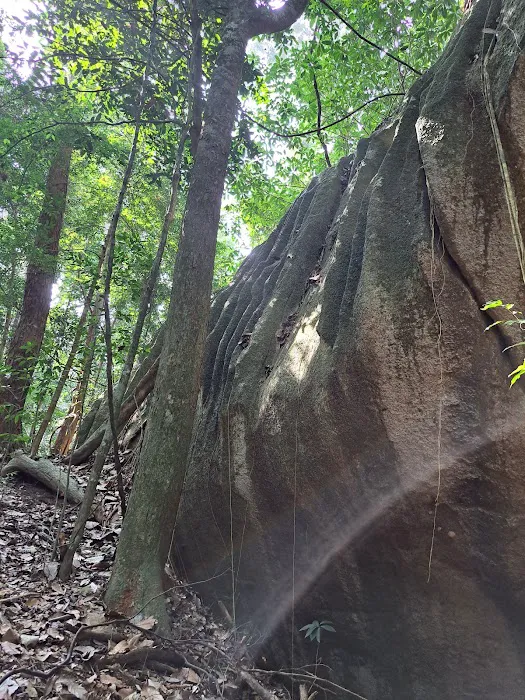 Starting Trail Bukit Tokki Picture 7