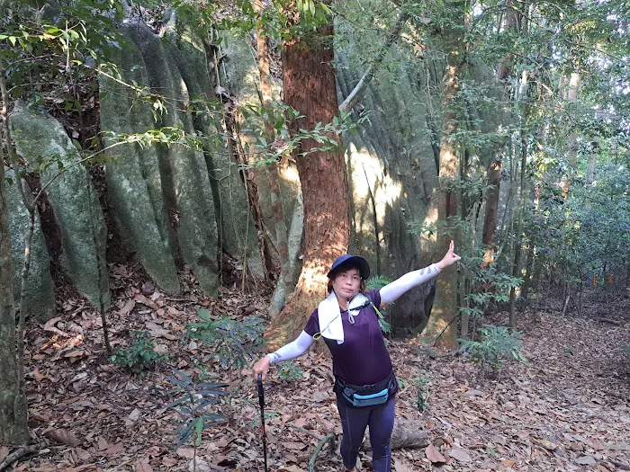 Starting Trail Bukit Tokki Picture 8