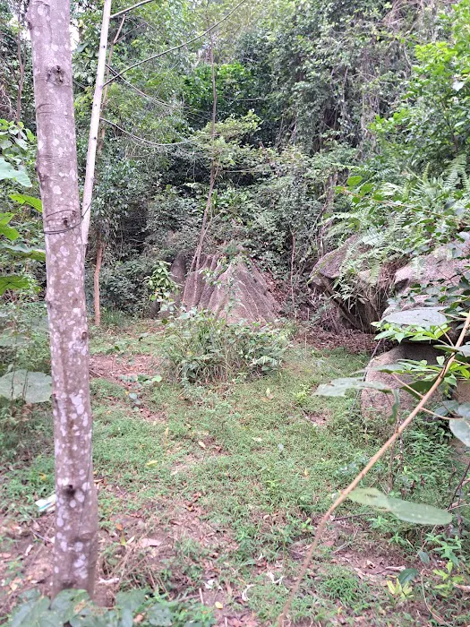 Starting Trail Bukit Tokki Picture 9