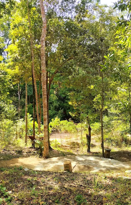 Free Stay - Pelindung overnight tree platform Picture 2