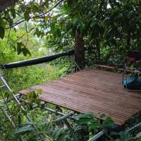 Free Stay - Pelindung overnight tree platform ico