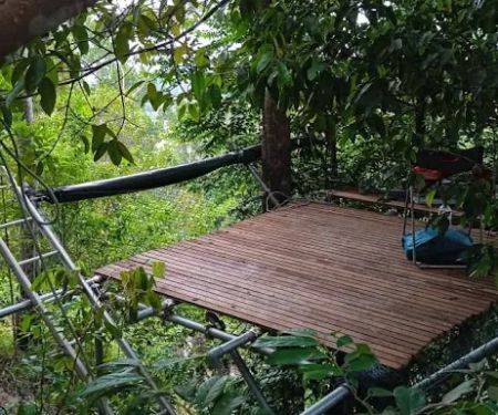 Free Stay - Pelindung overnight tree platform