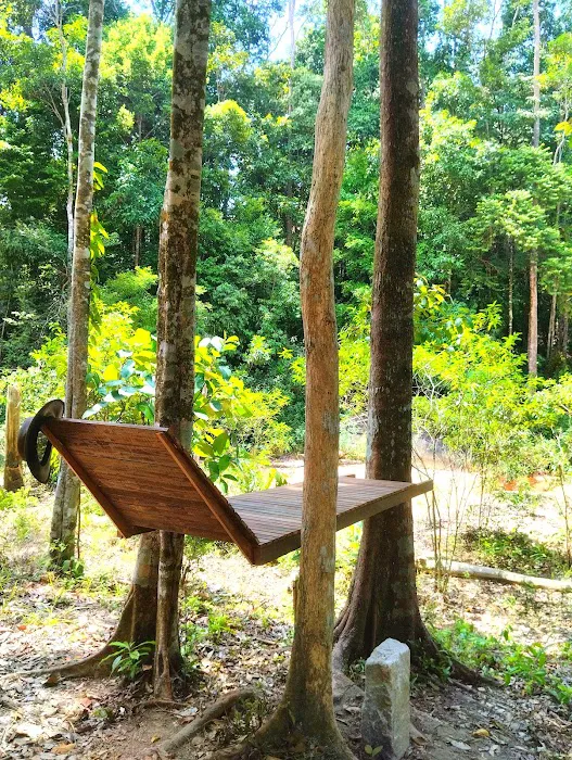 Free Stay - Pelindung overnight tree platform Picture 6