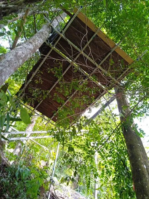 Free Stay - Pelindung overnight tree platform Picture 3