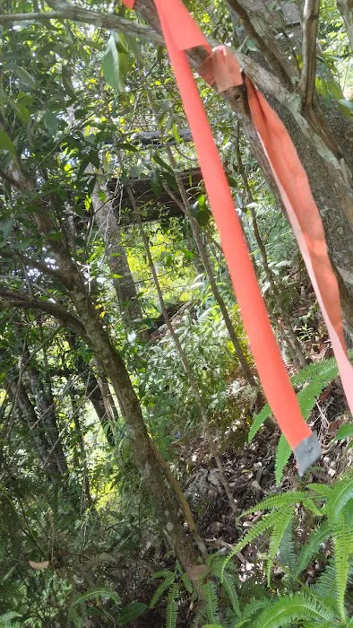Free Stay - Pelindung overnight tree platform Picture 7