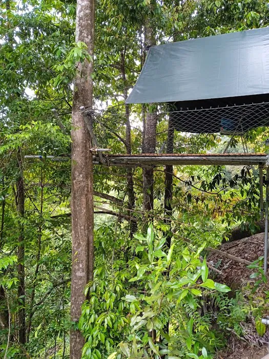 Free Stay - Pelindung overnight tree platform Picture 10