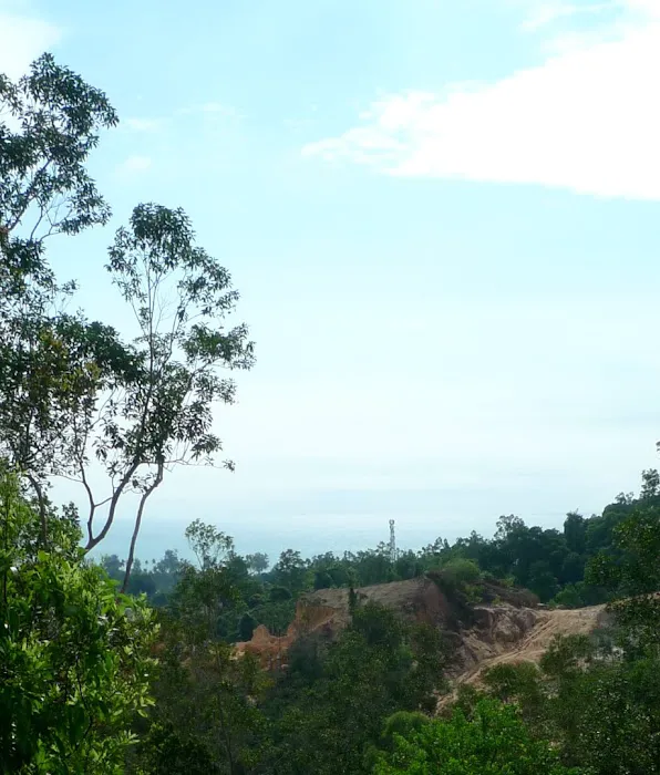 Free Stay - Pelindung overnight tree platform Picture 8