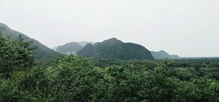 Bukit Batu Putih Picture 10