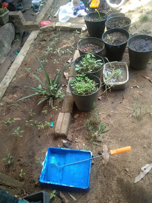 Hutan Lipur Beserah Picture 1