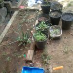 Hutan Lipur Beserah