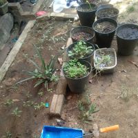 Hutan Lipur Beserah ico