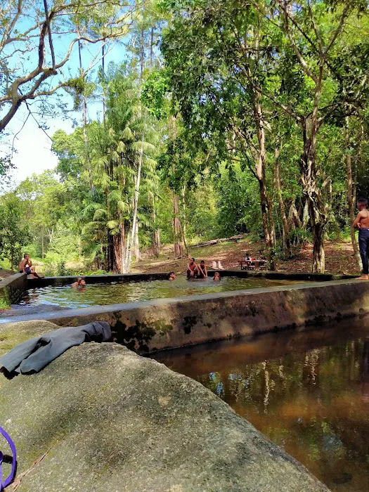 Hutan Simpan Beserah Picture 2