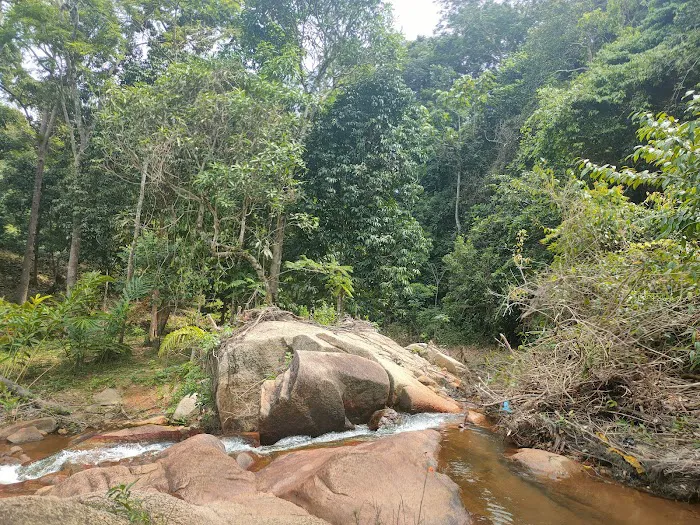 Hutan Simpan Beserah Picture 4