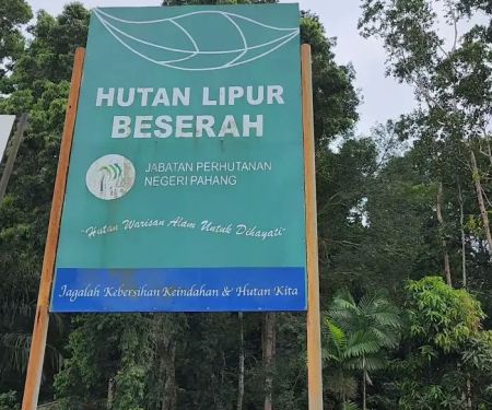 Hutan Simpan Beserah