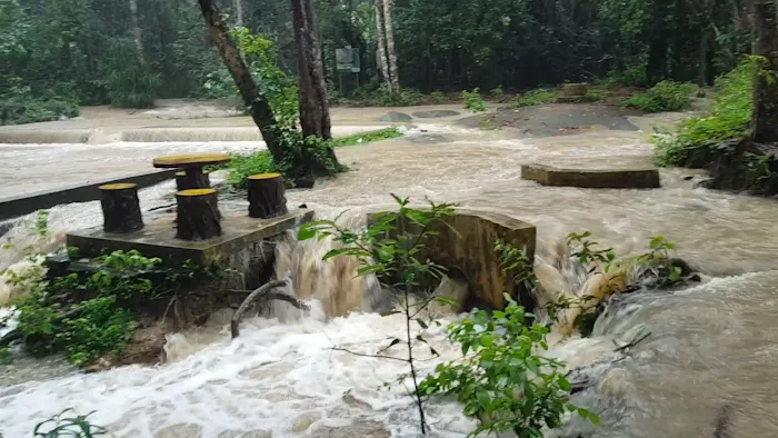 Hutan Simpan Beserah Picture 3