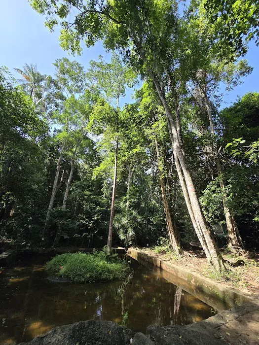 Hutan Simpan Beserah Picture 5