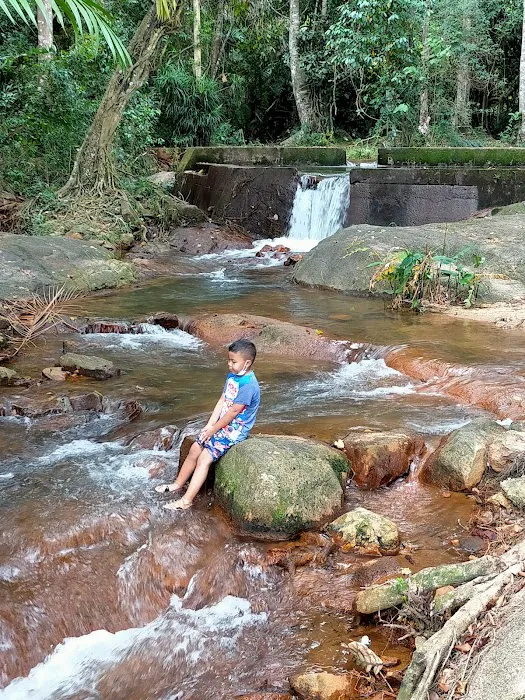Hutan Simpan Beserah Picture 7