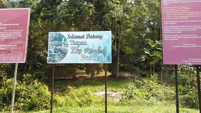 Hutan Simpan Beserah Picture 6