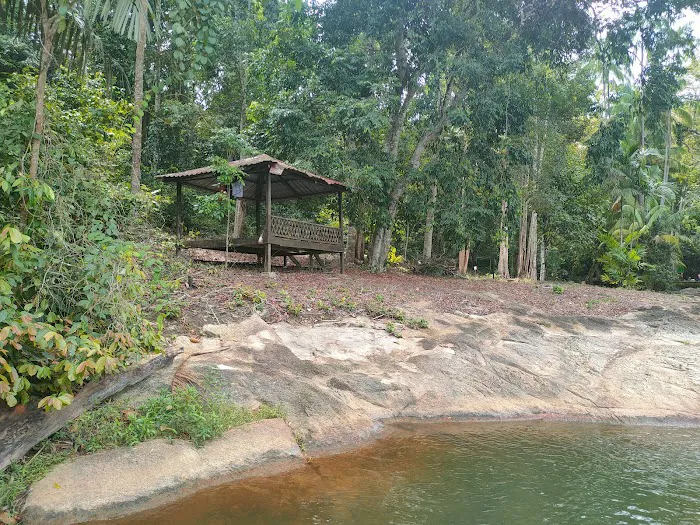 Hutan Simpan Beserah Picture 9