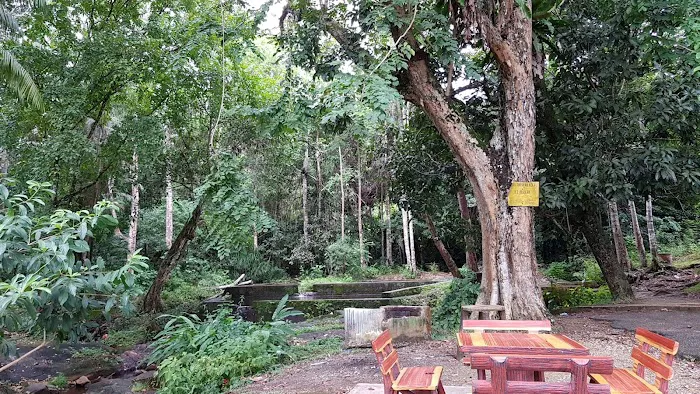 Hutan Simpan Beserah Picture 10