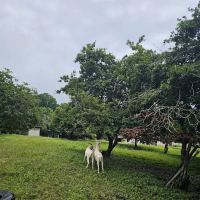 Pelindung Beach Trail ico