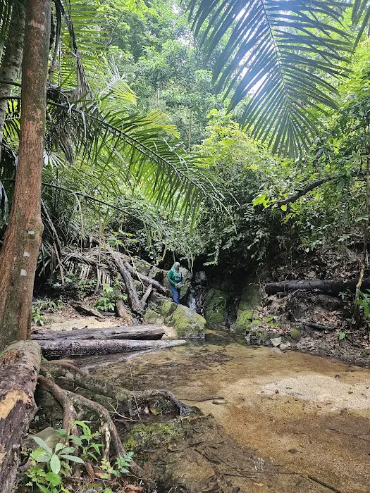 Pelindung Beach Trail Picture 2