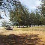 Pantai Teluk Ketapang