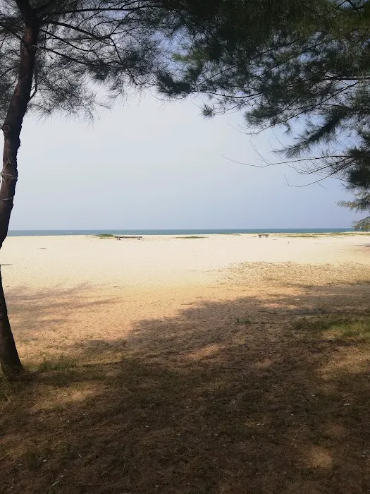 Pantai Teluk Ketapang Picture 10