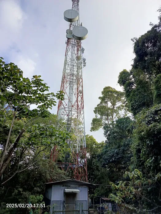 Bukit Pelindung (Puncak Kiri) Picture 4