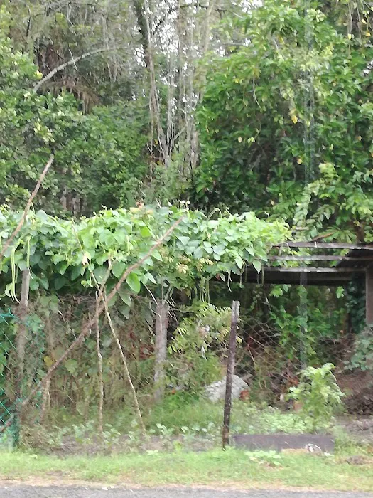 Surau Taman Mahsan Picture 6