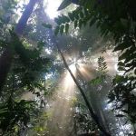 Puncak Bukit Tokki