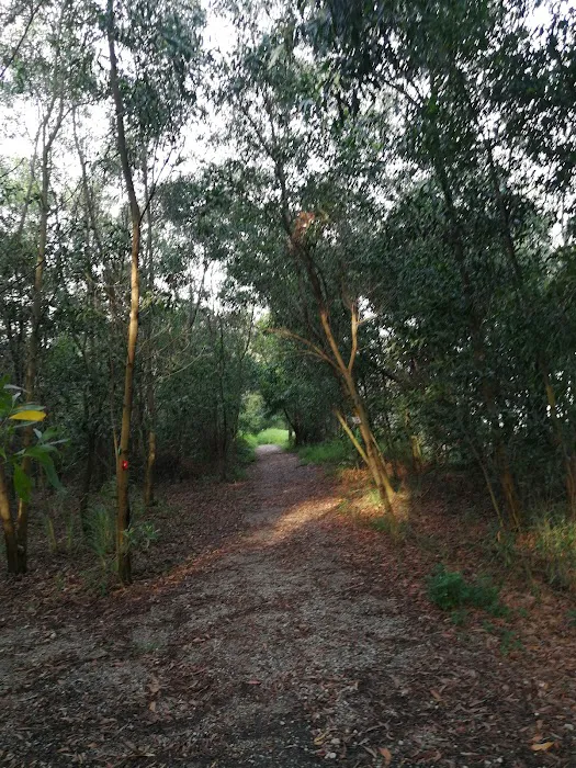 Jalan bukit Kuari Rawang Picture 6