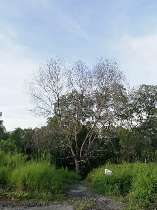 Jalan bukit Kuari Rawang Picture 7