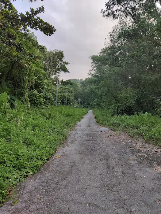 Rawang Bypass Hiking Trailhead Picture 5