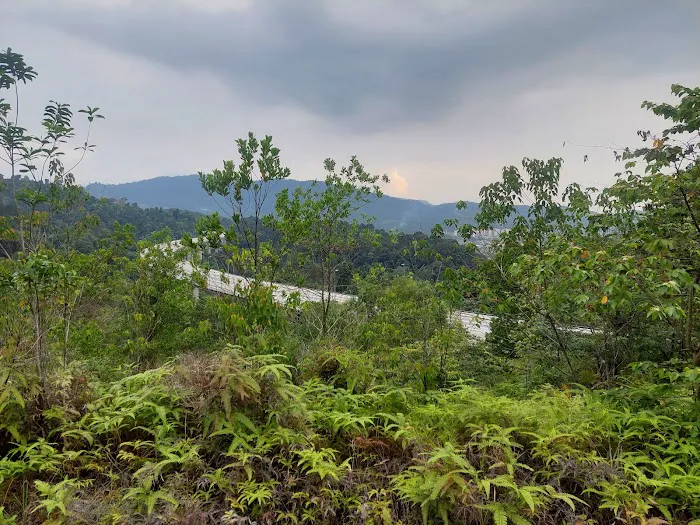 Rawang Bypass Hiking Trailhead Picture 9