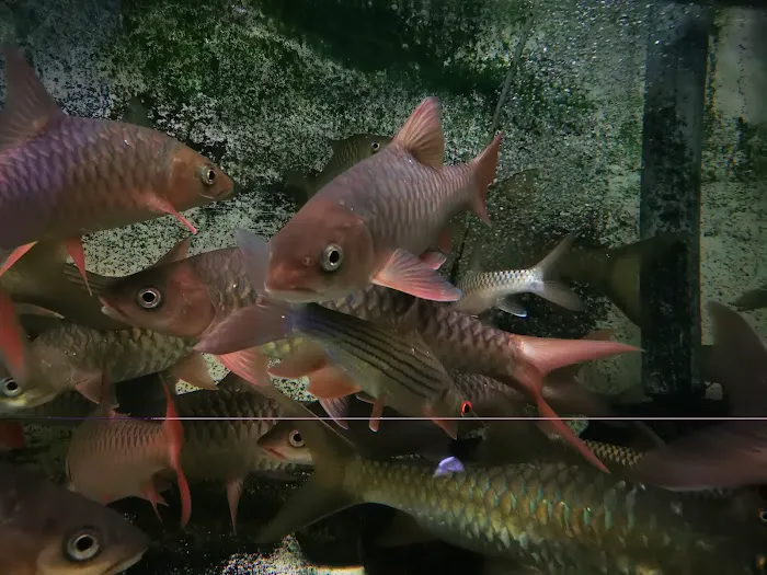 MSMS Aquatic Picture 2